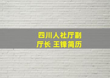 四川人社厅副厅长 王锋简历